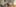 2048X900 34455 Int 02 Small